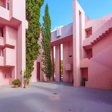 Coral In Muralla Roja *