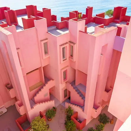 Coral In Muralla Roja Calpe