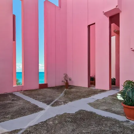 Coral In Muralla Roja *