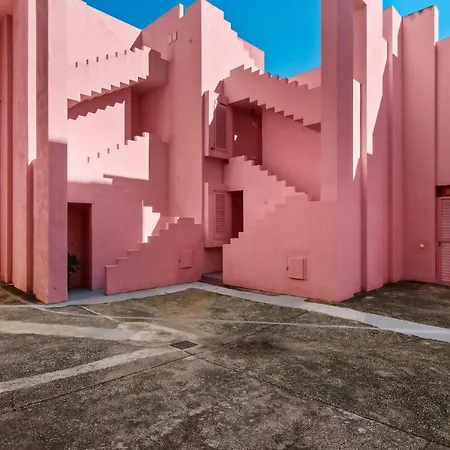 Coral In Muralla Roja *